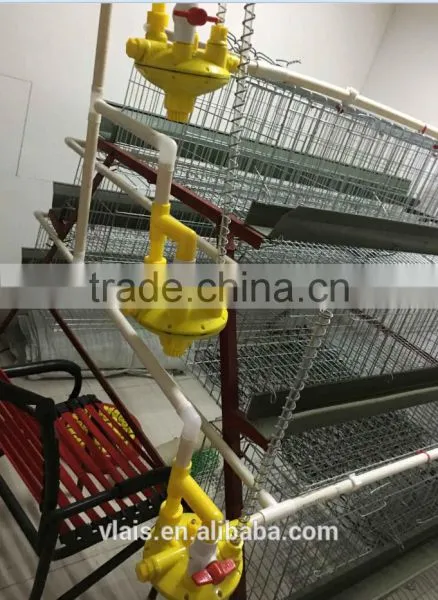 Wholesale Small Animal Cages for Automatic Chicken Cage photo-4