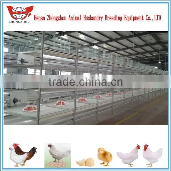 Whole Chicken Layer Cage Low Price photo-4