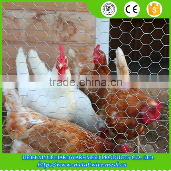 Hot-dip Galvanized 90 X1.3cm X0.56mm X10m Chicken Wire Mesh