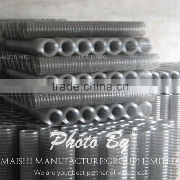 Electro Galvanized Welded Mesh photo-3