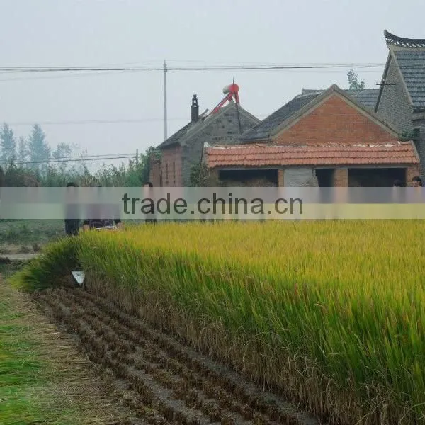 Multifunctional 4GL100 Mini Wheat Harvester Head photo-2