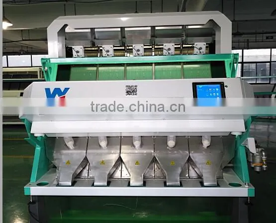 Newest Dehydrated Garlic Flakes Electronic Color Sorter Sorting Machine photo-4