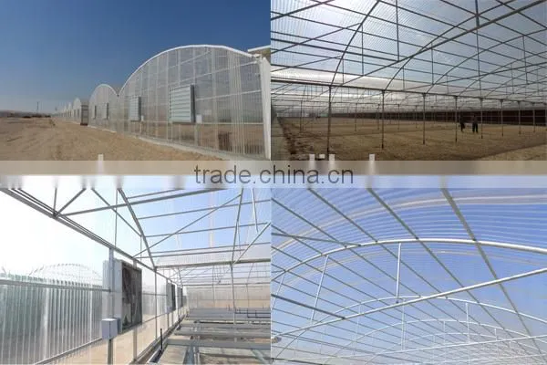 UV Blocking Polycarbonate Greenhouse Farm Sheet (Pearly GREEN) photo-3