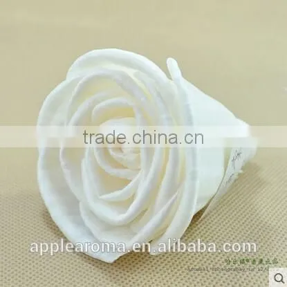 Begonia Sola Flower Aroma Diffuser With Reed or Cotton Rope photo-4