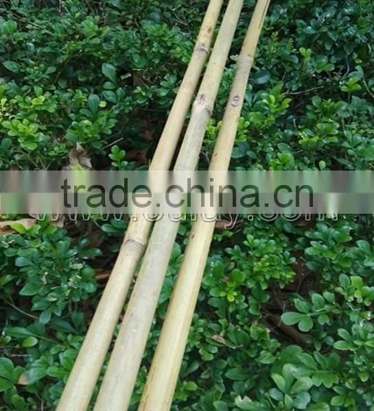 Thick Wall and Strong Tonkin Bamboo Canes for Supporting Plants at Cheap Price photo-3