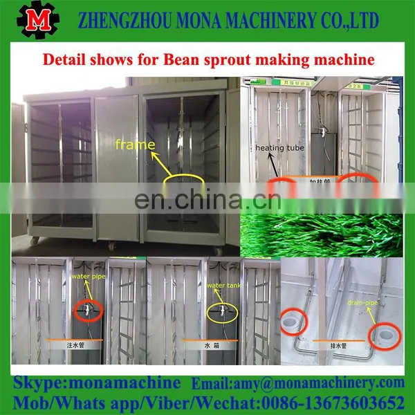 Bean Sprout Machine/bean Bud Grow Machine/tray Box Type Bean Sprouts Growing Machine photo-6