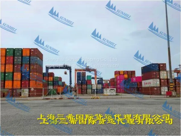 Shanghai to Dar es Salaam Sea Freight FCL EAF Line Logistics Service photo-4