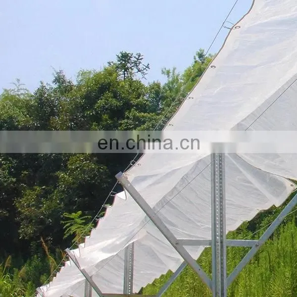 Innovative Covers for Actinidia and Cherry Orchards and Grape photo-4