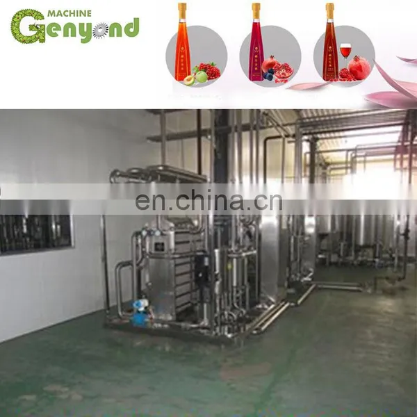 Berry Apple Wine Making Machine photo-4