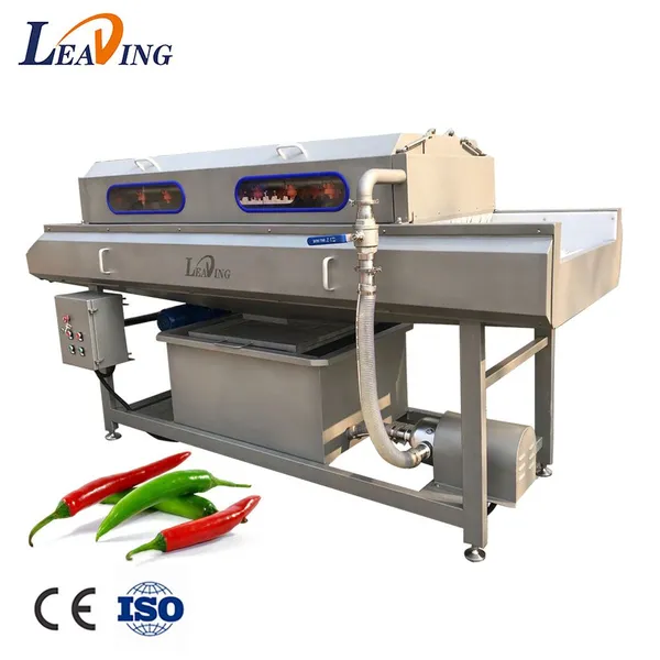 Commercial New Condition Potato Dry Cleaning Machine Fruit Vegetables Continuous Brushes Vegetable Processing Plant Farm photo-4