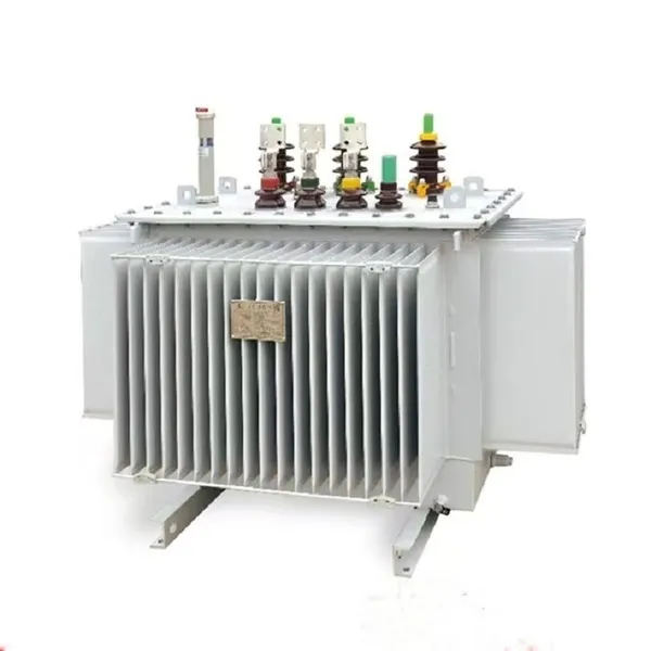 Oil-immersed Transformer photo-5