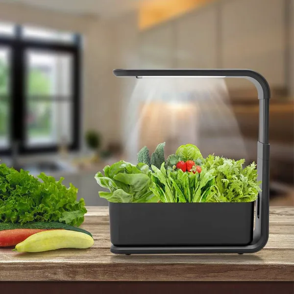 Amazon Hydroponic Gardening Smart Planter and Vegetable Planter for Indoor Soilless Cultivation photo-3