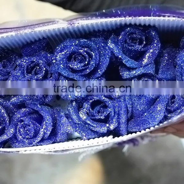 Beautiful Best-Selling Blue Flowers Roses photo-2
