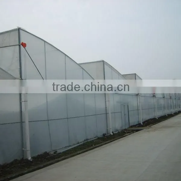 Gutter Connected Greenhouse photo-2