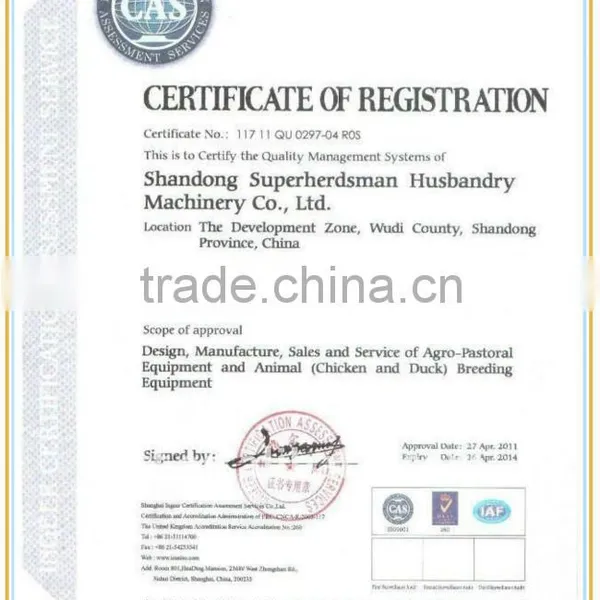 High Quality Automatic Poultry Farming Equipment photo-4