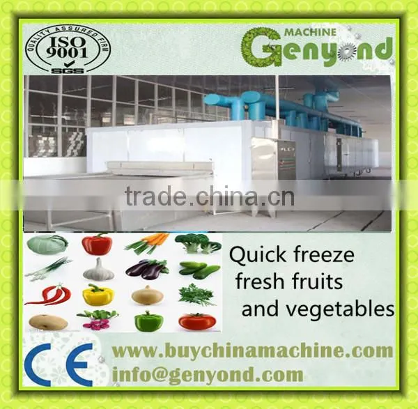 Quick Freezer--Tunnel Freezer