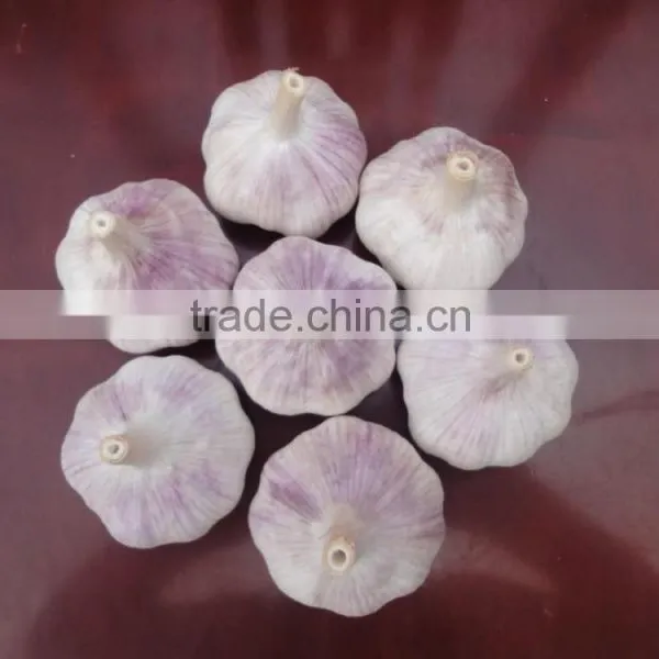 White Garlic Packed in 10kgs/ctn photo-3