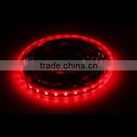 SDSLED IP33 DC12v 60LED/m Red SMD5050 Led Strip Light photo-2