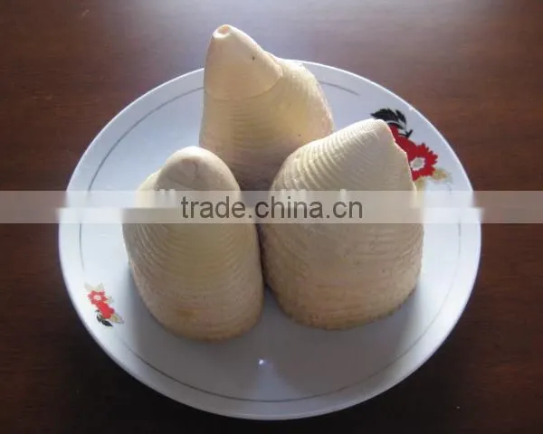 Tinned Bamboo Shoots in Whole Size 2950gram photo-6