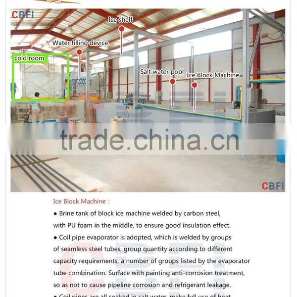 12 Tons in Philipphines Block Ice Making Machine Sale Hot photo-4
