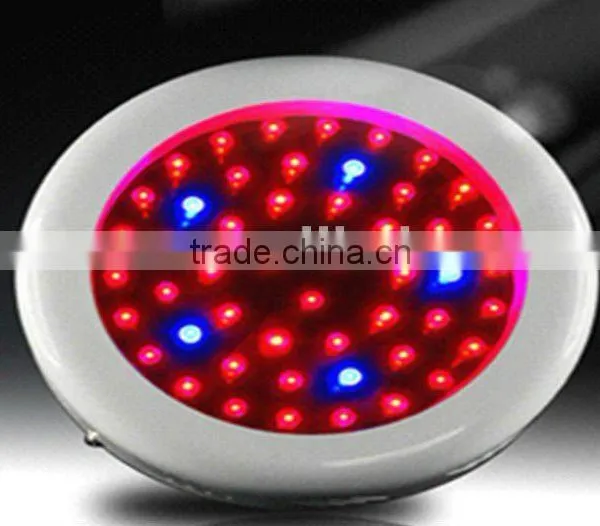 Plant Growth Light