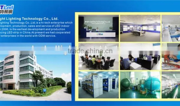 Professional High Brightness 1200mm Led Tube 8 photo-6