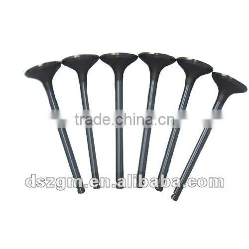 6CT Intake Valve