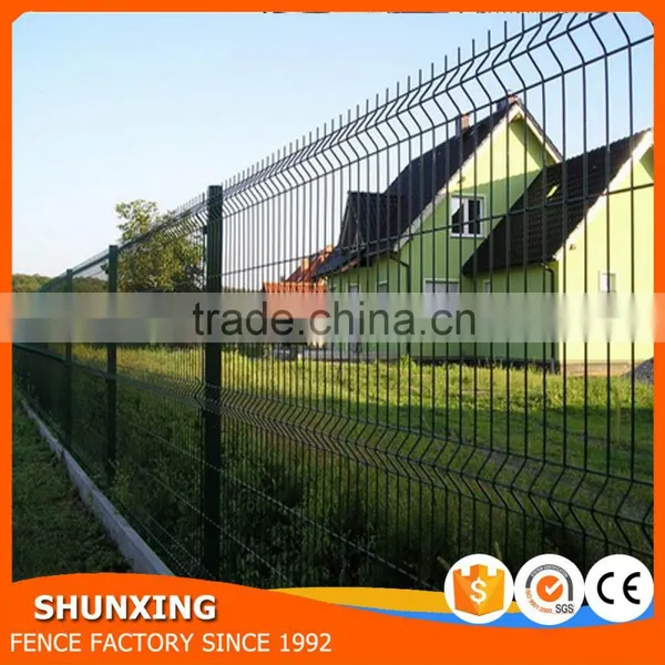 Proveedor China Green Cheap Iron Wire Mesh photo-4