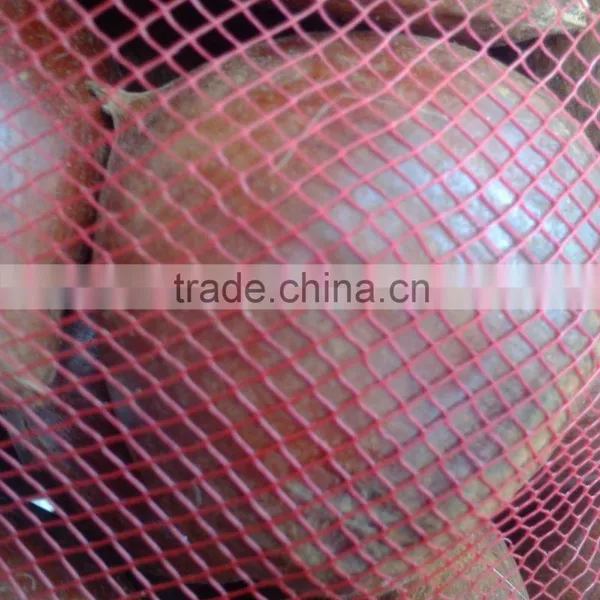 Good Reputation of Chinese Fresh Chestnut in Shell. photo-3
