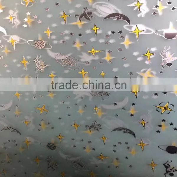 Factory Frosted Glass Designs for Front Door photo-4