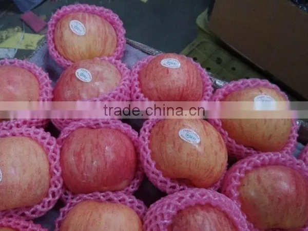 Export Dubai Fuji Apple photo-2