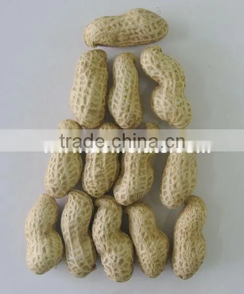 Chinese Peanut Kernels With Shell photo-3