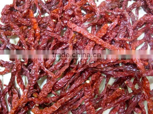 Dried Red Dry Chili photo-3