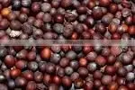 Indian Black Mustard Seeds