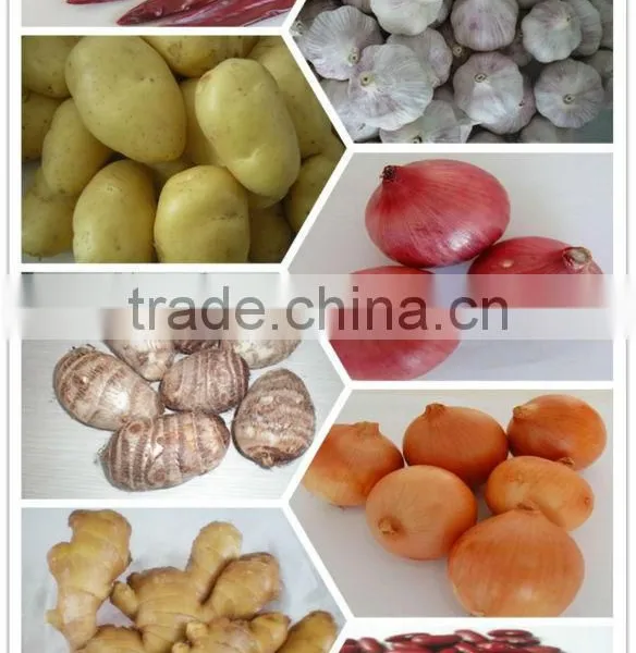Certified GAP/ KOSHER/ HALAL New Crop CHINESE WHITE GARLIC