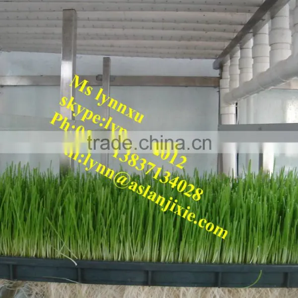 Soyabean Sprouting Machine /automatic Bean Sprout Machine photo-5