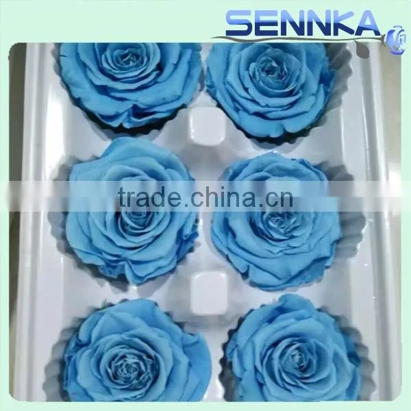 Preserved Flower Wedding Gifts for Guests Preserved Blue Rose Flower photo-5