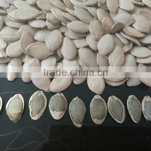Snow White Pumpkin Seeds in Shell photo-5