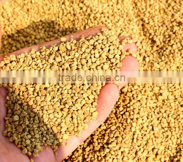 Wholesale Bee Pollen Prices Bee Pollen Pollen photo-2