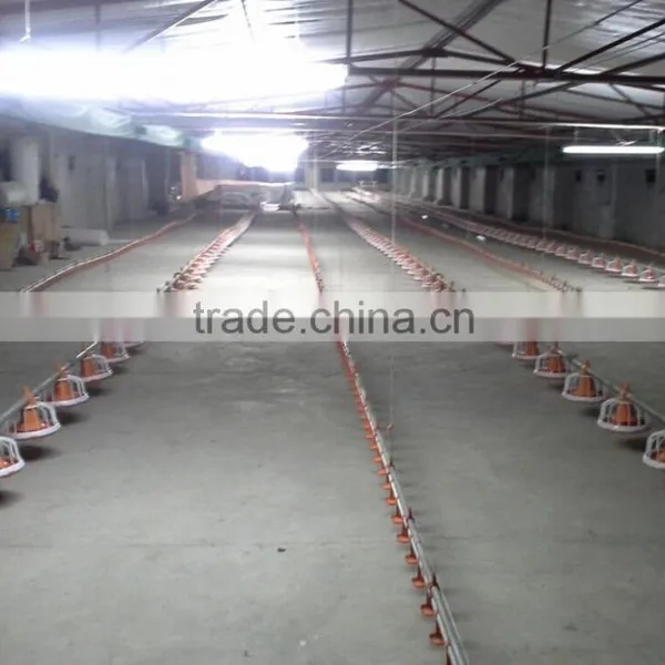 Steel Frame Type and Steel Material Metal Poultry Shed/galvanized Chicken Equipments Shed /chicken House Shed photo-2