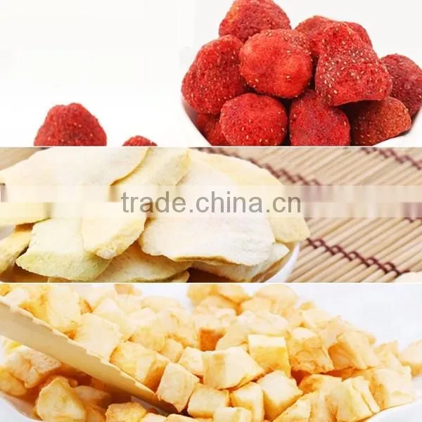 Food Vacuum Freeze Drying Machine 0086-15202132239 photo-3