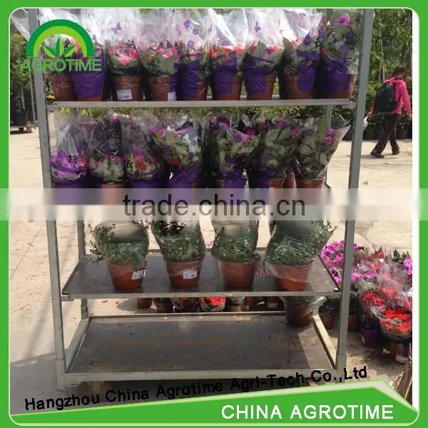 Flower Cart photo-2