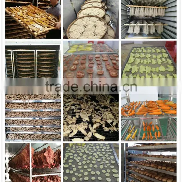 Moringa Leaf Drying Machine/tea Leaf Dryer Machine/herb Drying Machine photo-2