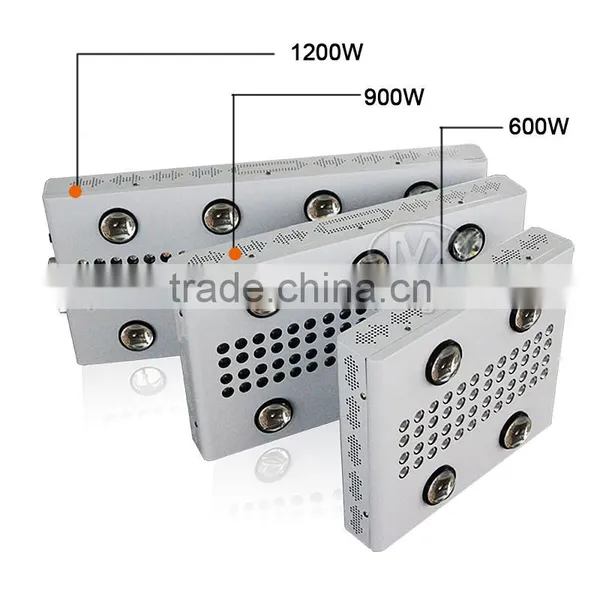 Grow Light Led Silent Fan Cob Led Grow Lights For Medical Plants photo-6