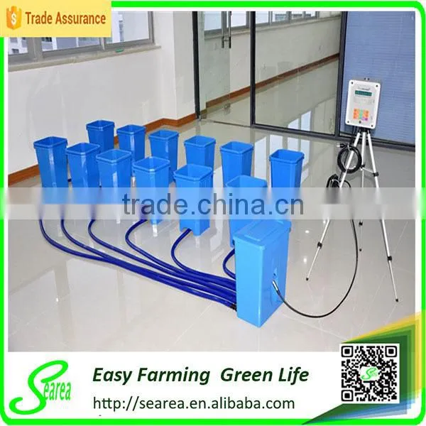 Hydroponics System for Tomato Planting photo-2