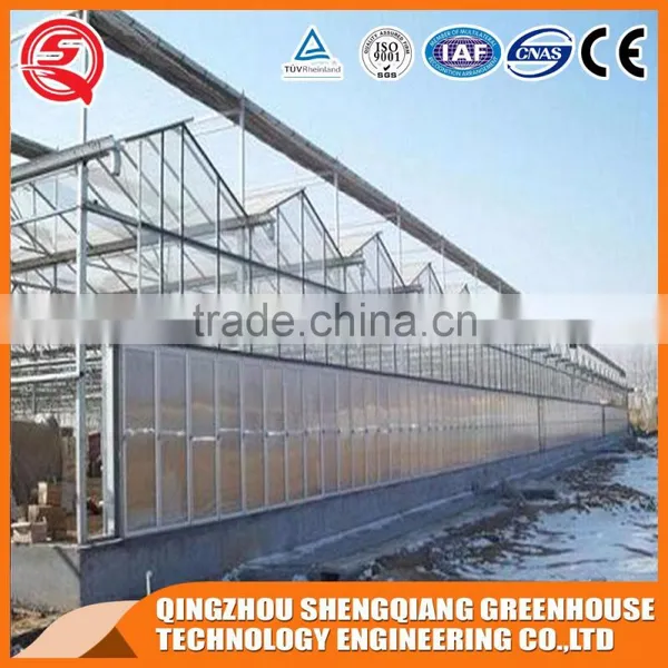 Agriculture Glass Greenhouse With Hot Dip Galvanized Frame for Sale photo-3