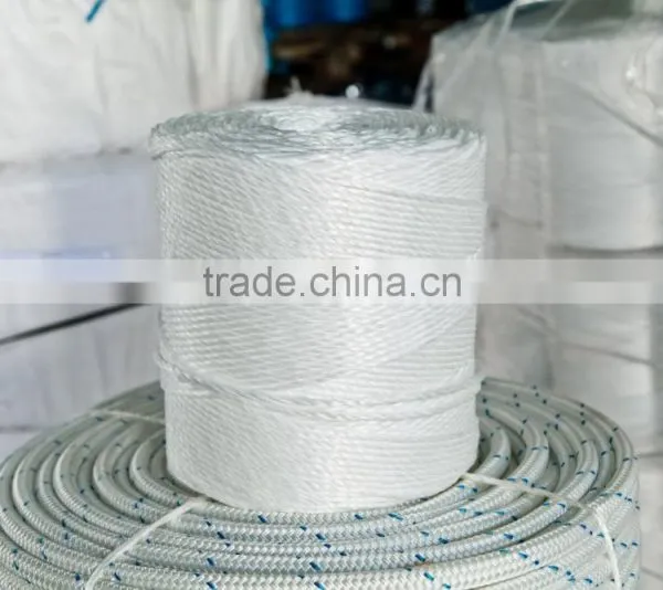 Baler Twine photo-6