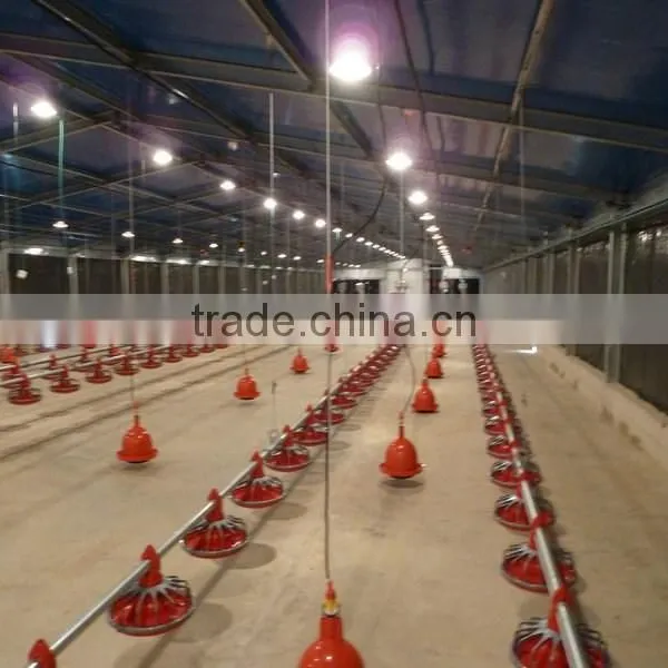125x21x2.5m Prefabricated Steel Structure Chicken House to Ukraine photo-2