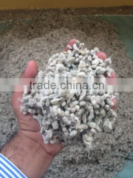 Cotton Seeds / Animal Feed / Cotton