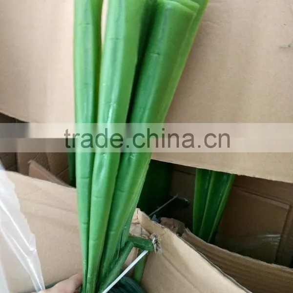CHY070917 Garden Decoration Foliage Green Petel Leaf/decorative Areca Leaf photo-3